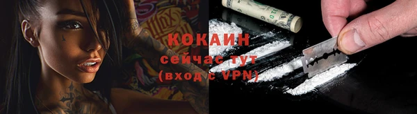 шишки Волоколамск