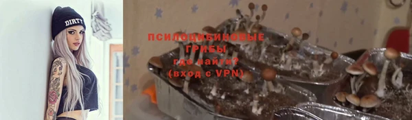 бошки Володарск