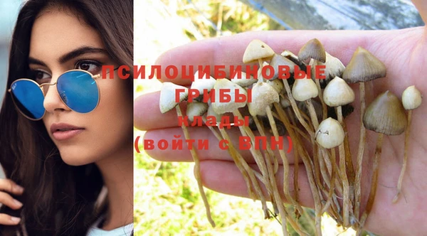 СК Верхний Тагил