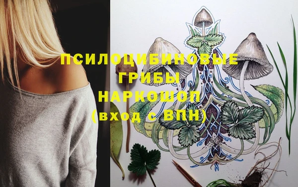 мяу мяу кристалл Верея
